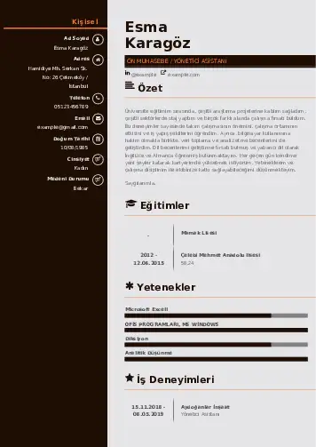 Yönetici Asistanı Cv Örnekleri cv indir